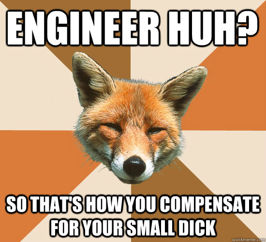 Engineer huh? So that's how you compensate for your small dick  Condescending Fox