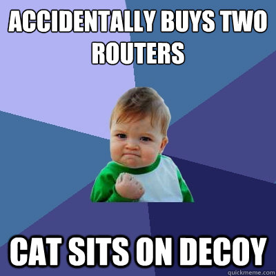 Accidentally buys two routers cat sits on decoy  Success Kid