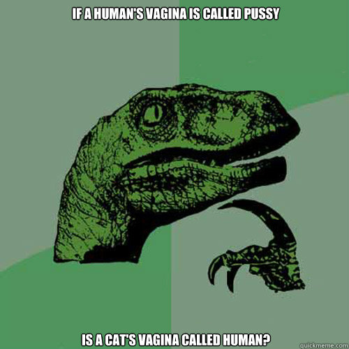 If a human's vagina is called pussy is a cat's vagina called human?  Philosoraptor