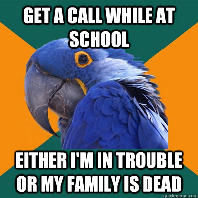 Get a call while at school Either i'm in trouble or my family is dead  Paranoid Parrot