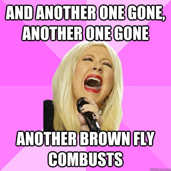 and another one gone, another one gone another brown fly combusts    Wrong Lyrics Christina