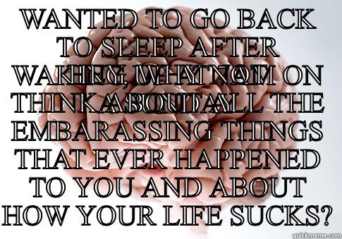 WANTED TO GO BACK TO SLEEP AFTER WAKING UP AT 7AM ON A SUNDAY HEY, WHY NOT THINK ABOUT ALL THE EMBARASSING THINGS THAT EVER HAPPENED TO YOU AND ABOUT HOW YOUR LIFE SUCKS? Scumbag Brain