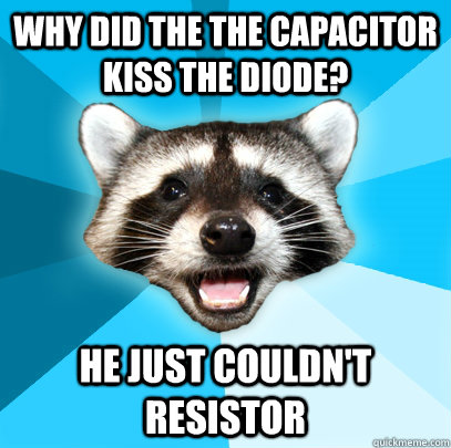 WHY DID THE THE CAPACITOR KISS THE DIODE? HE JUST COULDN'T RESISTOR - WHY DID THE THE CAPACITOR KISS THE DIODE? HE JUST COULDN'T RESISTOR  Lame Pun Coon