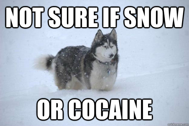 Not sure if snow Or cocaine - Not sure if snow Or cocaine  Misc