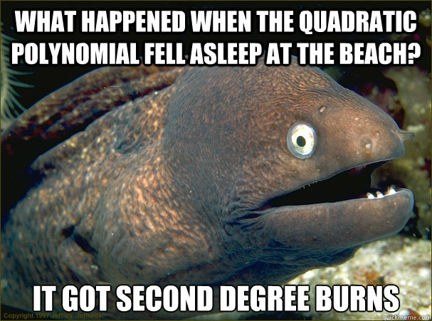 What happened when the quadratic polynomial fell asleep at the beach? It got second degree burns  Bad Joke Eel