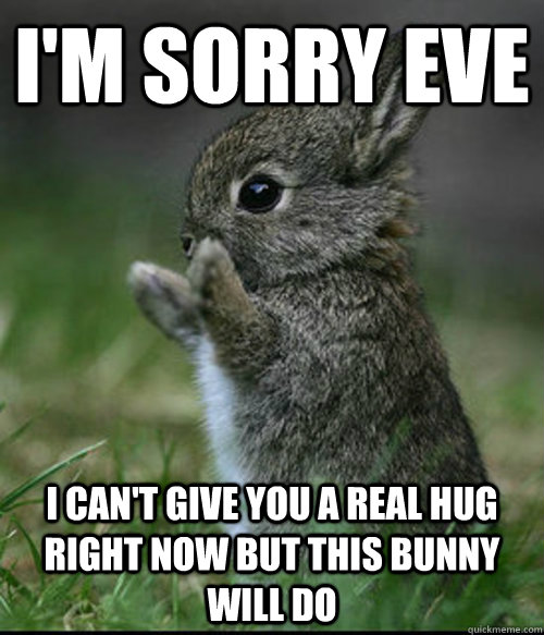 I'm sorry Eve I can't give you a real hug right now but this bunny will do  Im sorry bunny