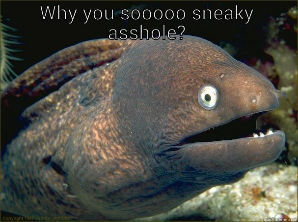 WHY YOU SOOOOO SNEAKY ASSHOLE?  Bad Joke Eel