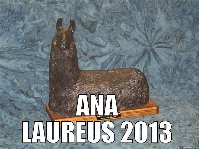  ANA LAUREUS 2013 Misc