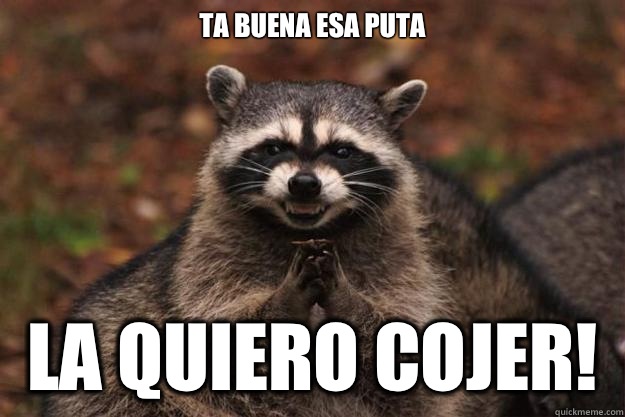 Ta buena esa puta La quiero cojer! - Ta buena esa puta La quiero cojer!  Evil Plotting Raccoon