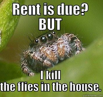 RENT IS DUE? BUT I KILL THE FLIES IN THE HOUSE. Misunderstood Spider