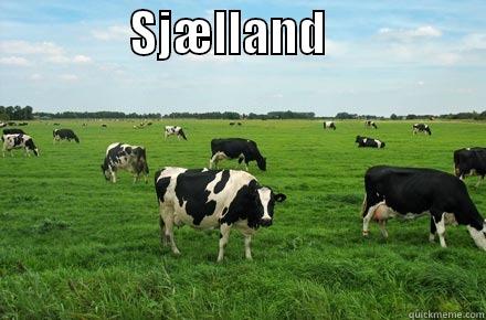              SJÆLLAND                  Misc