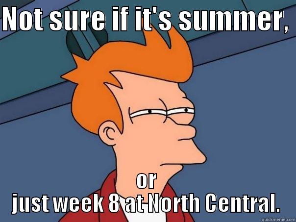 NOT SURE IF IT'S SUMMER,  OR JUST WEEK 8 AT NORTH CENTRAL. Futurama Fry