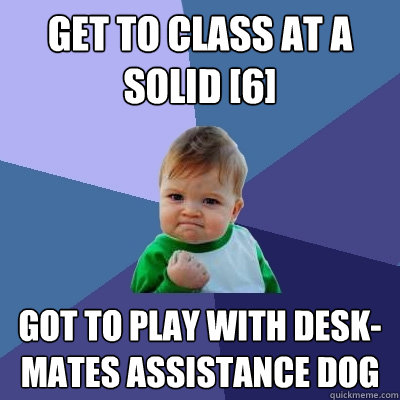 Get to class at a solid [6] got to play with desk-mates assistance dog  Success Kid