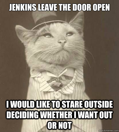 Jenkins leave the door open I would like to stare outside deciding whether I want out or not  Aristocat