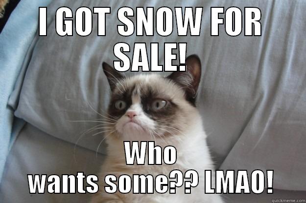 I GOT SNOW FOR SALE! WHO WANTS SOME?? LMAO! Grumpy Cat