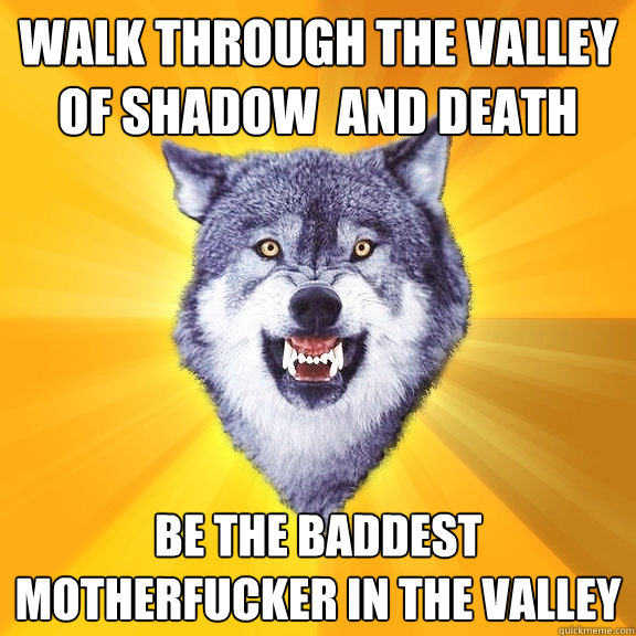 walk through the valley of shadow  and death be the baddest motherfucker in the valley  Courage Wolf