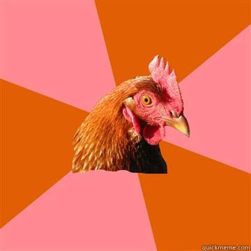 I used to be a chick for peace- now I want a revolution -   Anti-Joke Chicken