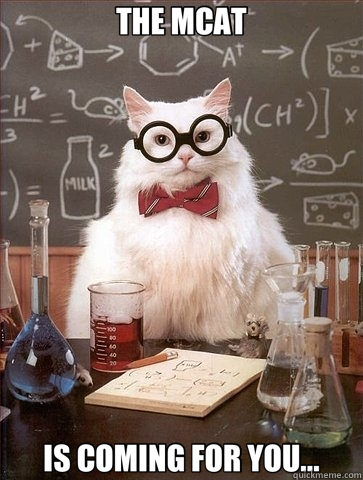 THE MCAT IS COMING FOR YOU...  Chemistry Cat