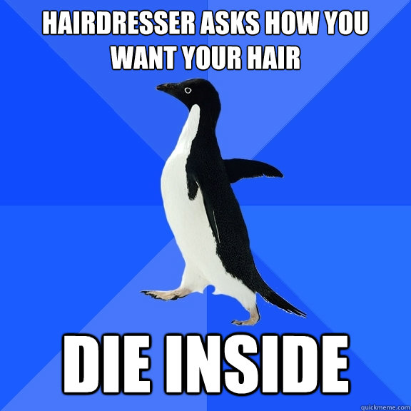 hairdresser asks how you want your hair die inside  Socially Awkward Penguin