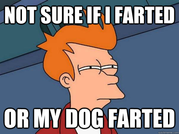 not sure if i farted or my dog farted - not sure if i farted or my dog farted  Futurama Fry