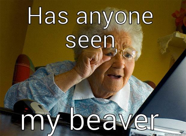 HAS ANYONE SEEN MY BEAVER Grandma finds the Internet