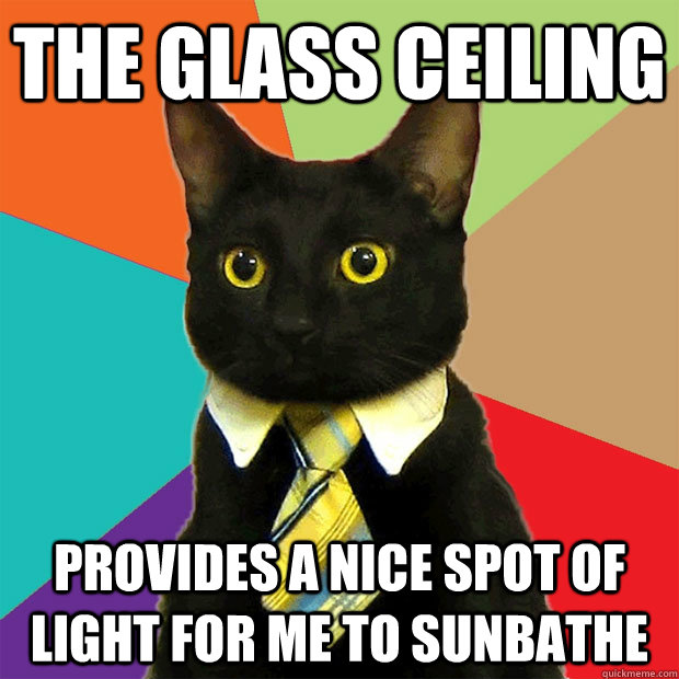 the glass ceiling provides a nice spot of light for me to sunbathe - the glass ceiling provides a nice spot of light for me to sunbathe  Business Cat