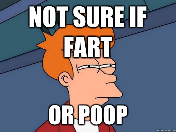 Not sure if fart Or poop  Futurama Fry