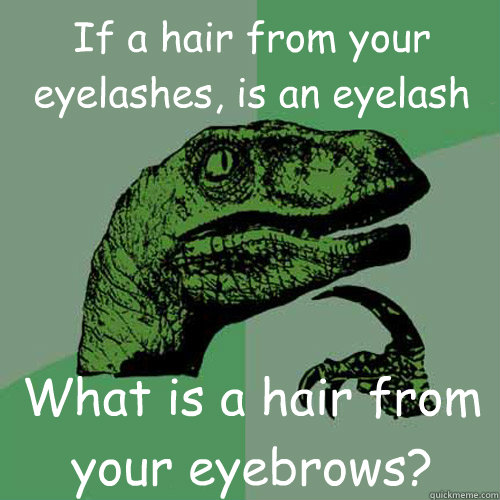 If a hair from your eyelashes, is an eyelash What is a hair from your eyebrows?  Philosoraptor