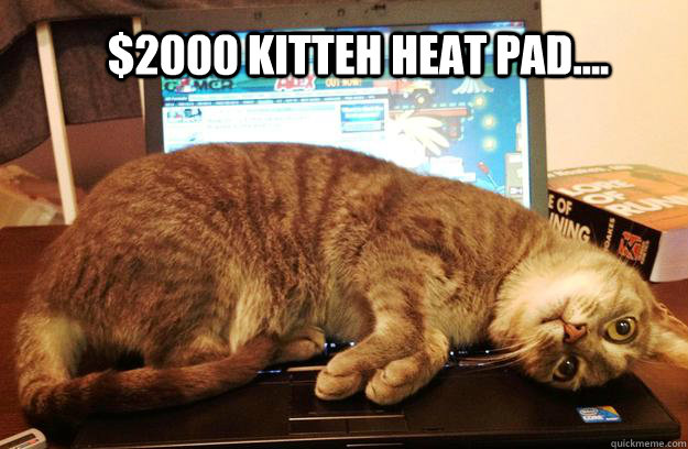 $2000 Kitteh Heat Pad.... - $2000 Kitteh Heat Pad....  kitteh heat pad