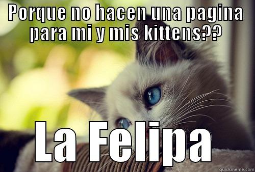 PORQUE NO HACEN UNA PAGINA PARA MI Y MIS KITTENS?? LA FELIPA First World Problems Cat