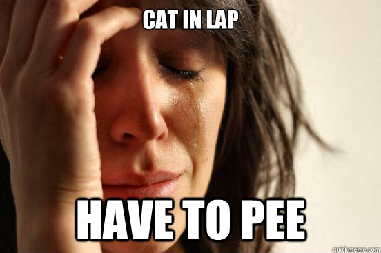 CAT IN LAP HAVE TO PEE  First World Problems