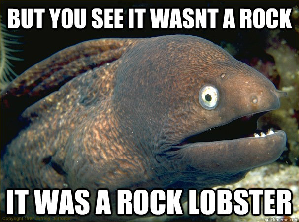 but you see it wasnt a rock it was a rock lobster  Bad Joke Eel