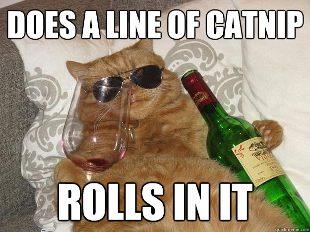 Does a line of catnip rolls in it  Party Cat