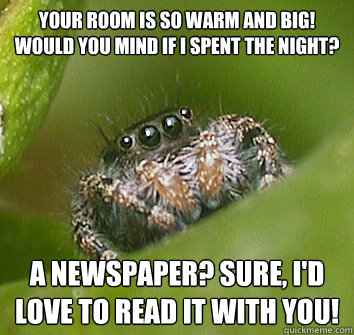 Your room is so warm and big! Would you mind if I spent the night? A newspaper? Sure, I'd love to read it with you! - Your room is so warm and big! Would you mind if I spent the night? A newspaper? Sure, I'd love to read it with you!  Misunderstood Spider