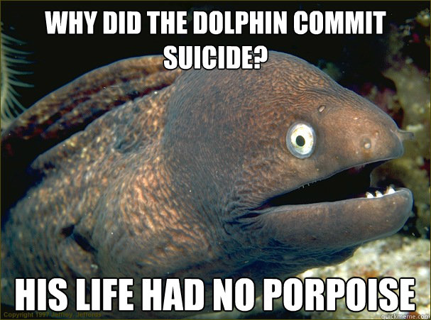 Why did the dolphin commit suicide? His life had no porpoise  Bad Joke Eel