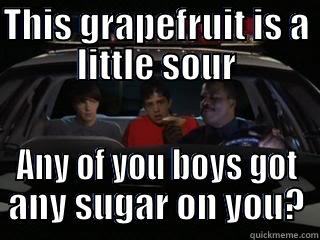 THIS GRAPEFRUIT IS A LITTLE SOUR ANY OF YOU BOYS GOT ANY SUGAR ON YOU? Misc