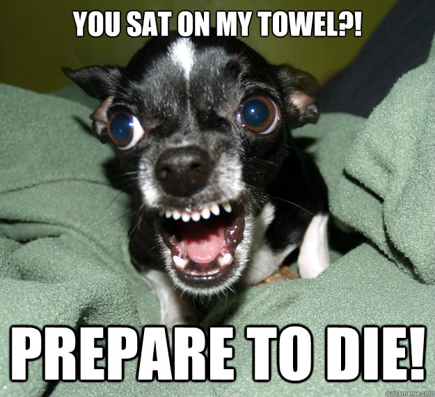 you sat on my towel?! prepare to die!  