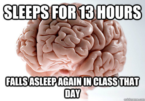 Sleeps for 13 hours Falls asleep again in class that day  Scumbag Brain