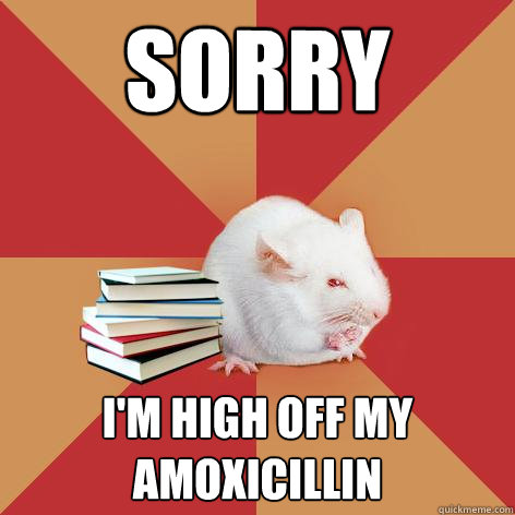 Sorry I'm high off my amoxicillin - Sorry I'm high off my amoxicillin  Science Major Mouse