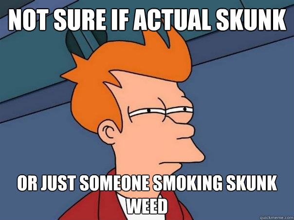 Not sure if actual skunk or just someone smoking skunk weed  Futurama Fry