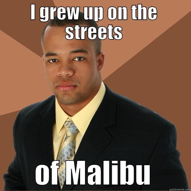 The Streets - I GREW UP ON THE STREETS OF MALIBU Successful Black Man