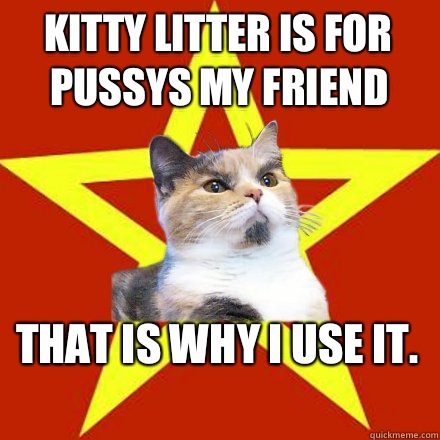 Kitty litter is for pussys my friend That is why I use it.   Lenin Cat