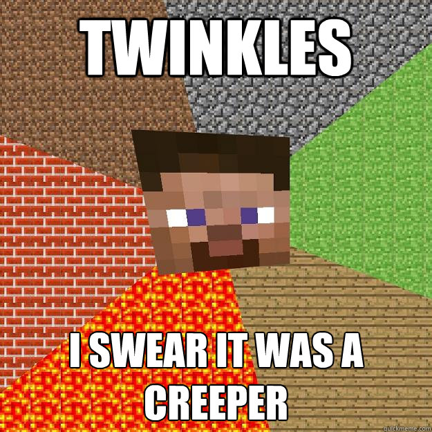 twinkles i swear it was a creeper  Minecraft