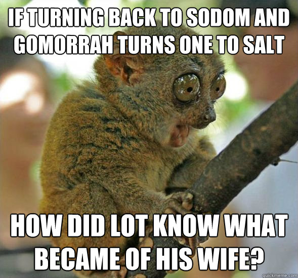 If turning back to Sodom and Gomorrah turns one to salt How did Lot know what became of his wife?  Sudden Clarity Tarsier