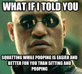 what if i told you squatting while pooping is easier and better for you than sitting and pooping - what if i told you squatting while pooping is easier and better for you than sitting and pooping  Matrix Morpheus