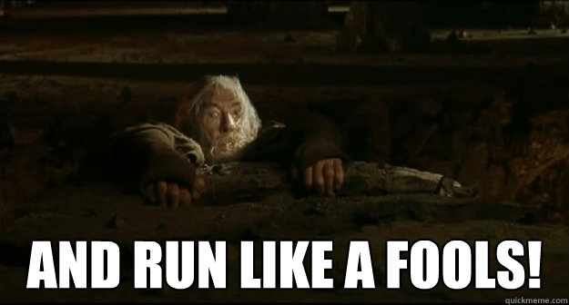  AND run LIKE A fools!  Gandalf