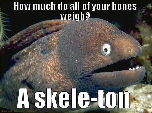 Basic Anatomy - HOW MUCH DO ALL OF YOUR BONES WEIGH? A SKELE-TON Bad Joke Eel