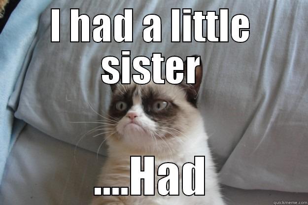 I HAD A LITTLE SISTER ....HAD Grumpy Cat