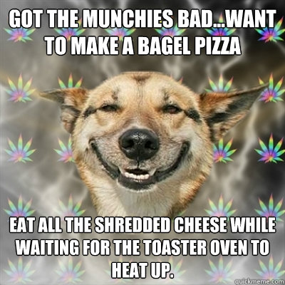 got the munchies bad...want to make a bagel pizza eat all the shredded cheese while waiting for the toaster oven to heat up.  Stoner Dog