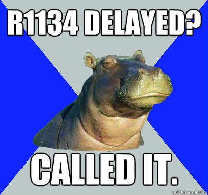 R1134 delayed? called it.  Skeptical Hippo